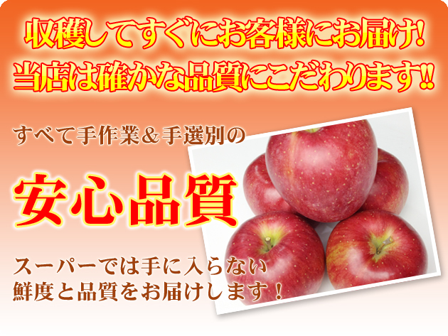 シナノスイート 長野県産 りんご 通販 | 長野 りんご 通販 ドットコム